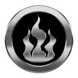 Silver Fire Protective Shield