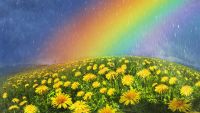Divine Rainbow Essence - Gttliche Regenbogen Essenz